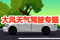 大风天气驾驶专题